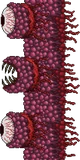 Wall of Flesh