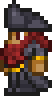 Pirate