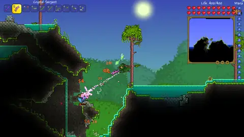 Exploring the Jungle